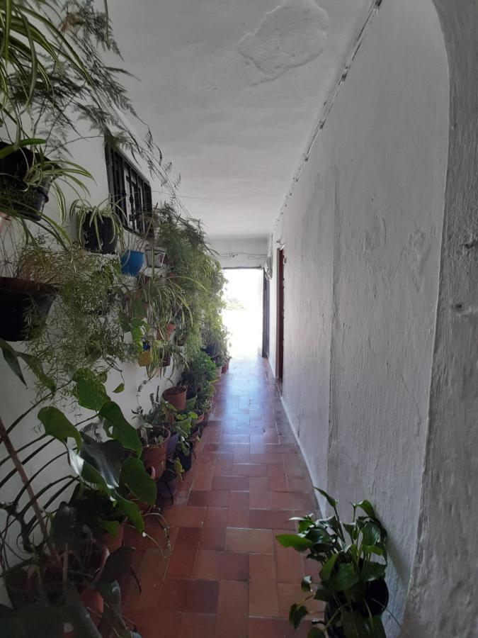 Dos Casitas, Dos Calles, - Loft De La Morena O Estudio Jr Vejer de la Frontera Exteriér fotografie